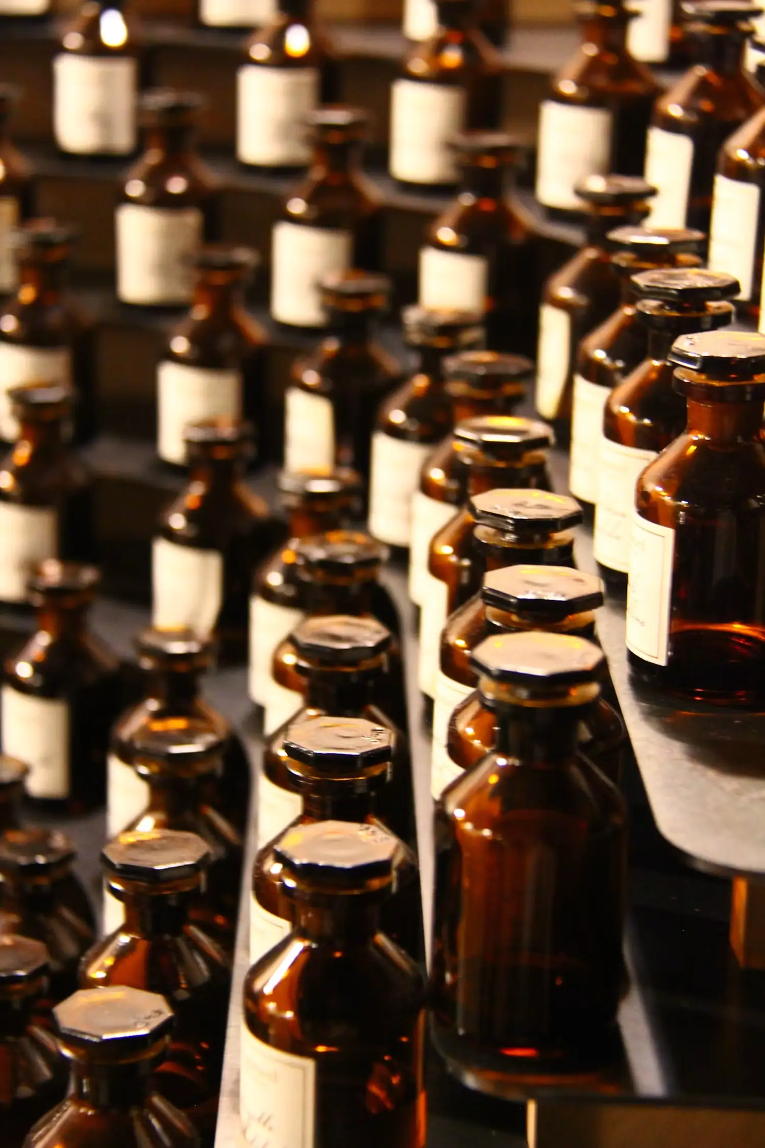 L'orgue à parfums de l'atelier